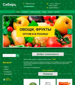 Типовой сайт с каталогом за 34 900 руб.